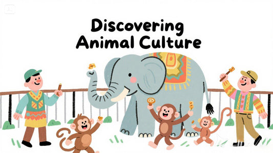 Discovering Animal Culture: A Journey Through China’s Zoos