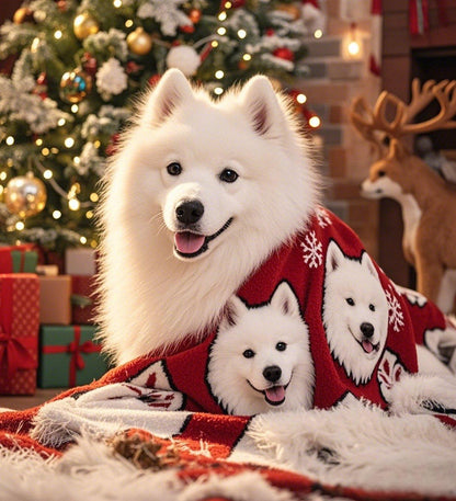 Blanket